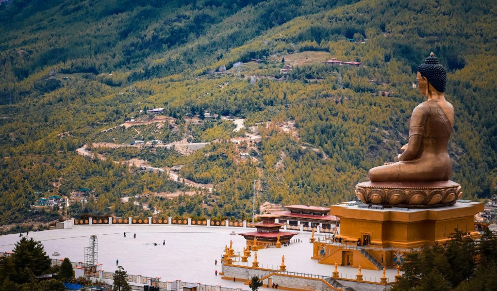 pexels-soonamwooeser-15319433